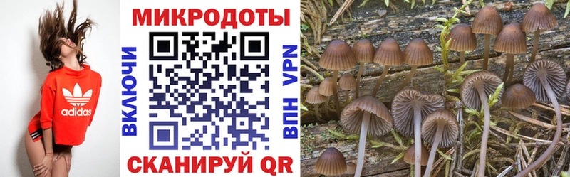 Псилоцибиновые грибы ЛСД нарко площадка какой сайт Нижняя Салда где найти OMG сайт